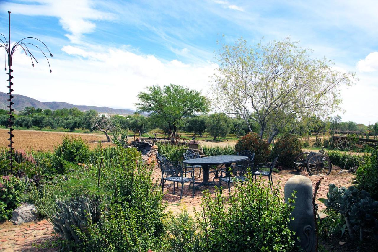Aloe Guest House Prince Albert Eksteriør billede