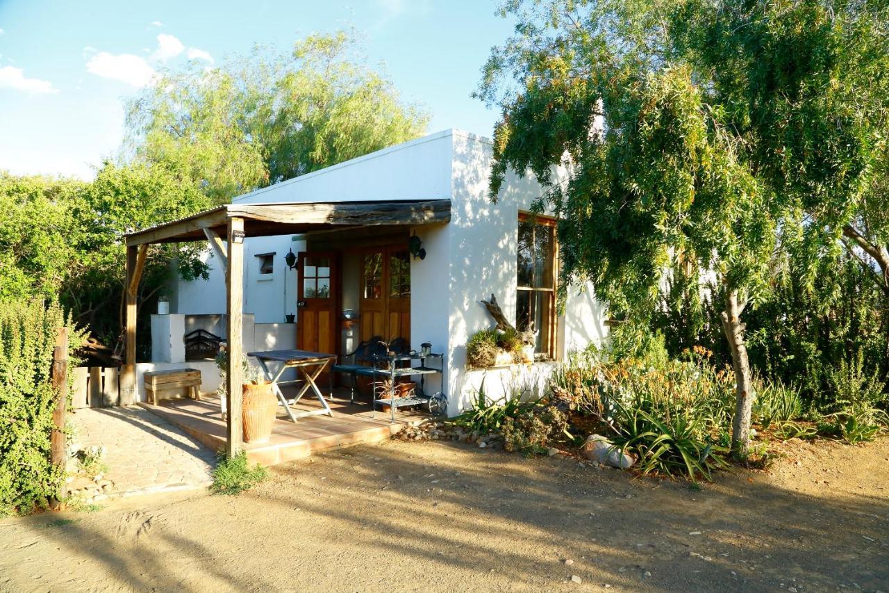 Aloe Guest House Prince Albert Eksteriør billede