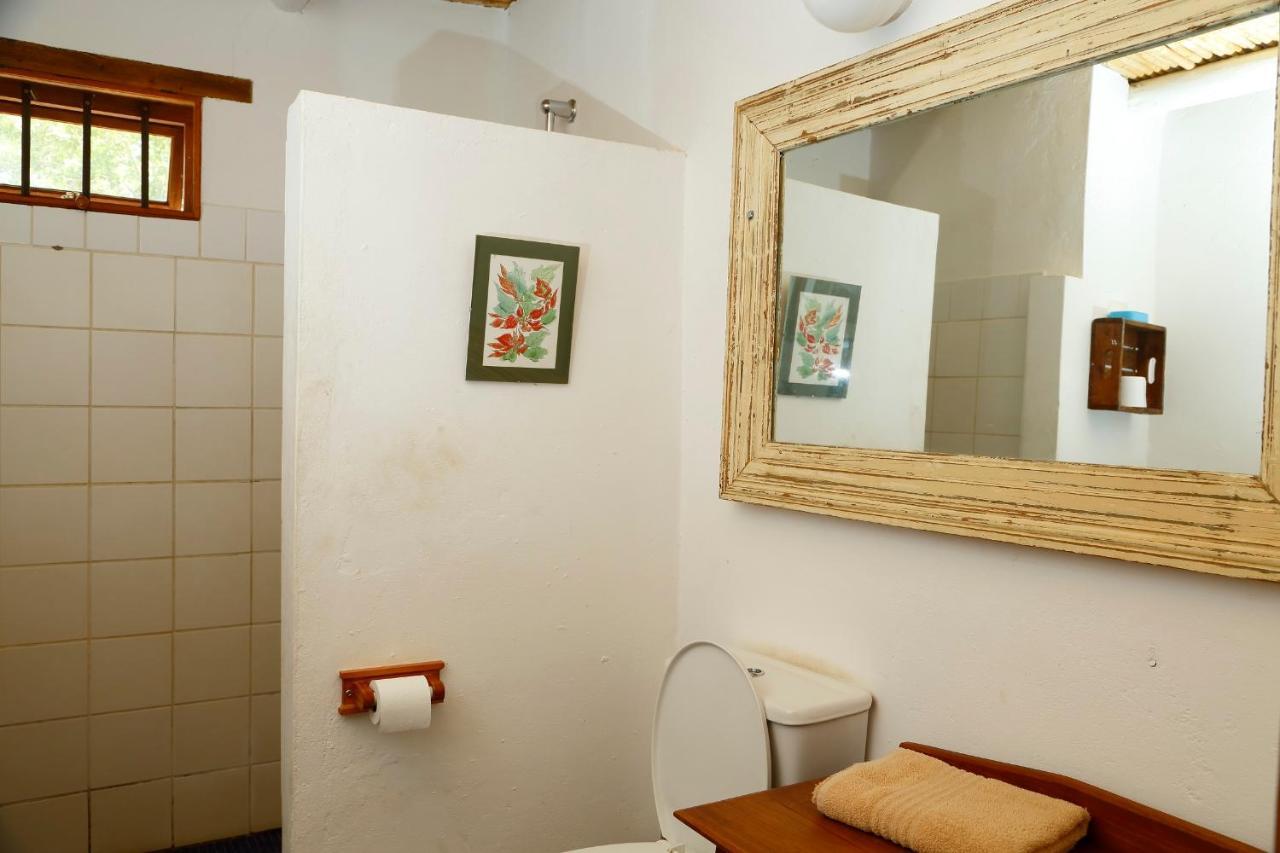 Aloe Guest House Prince Albert Eksteriør billede