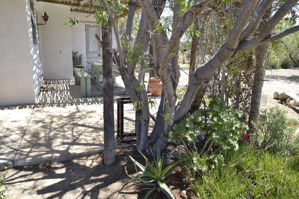 Aloe Guest House Prince Albert Eksteriør billede