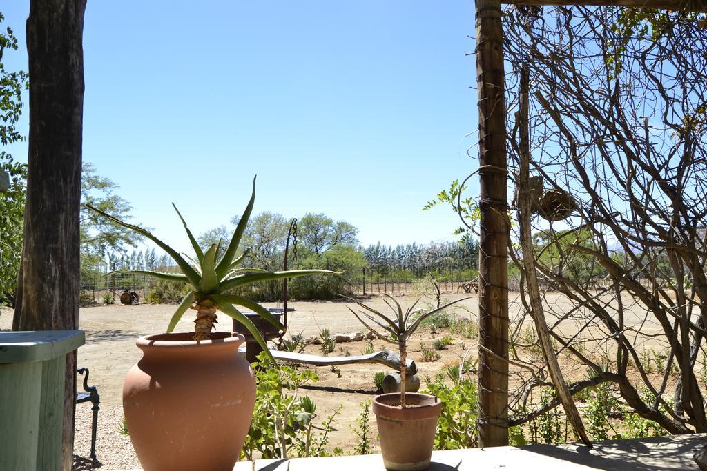 Aloe Guest House Prince Albert Eksteriør billede