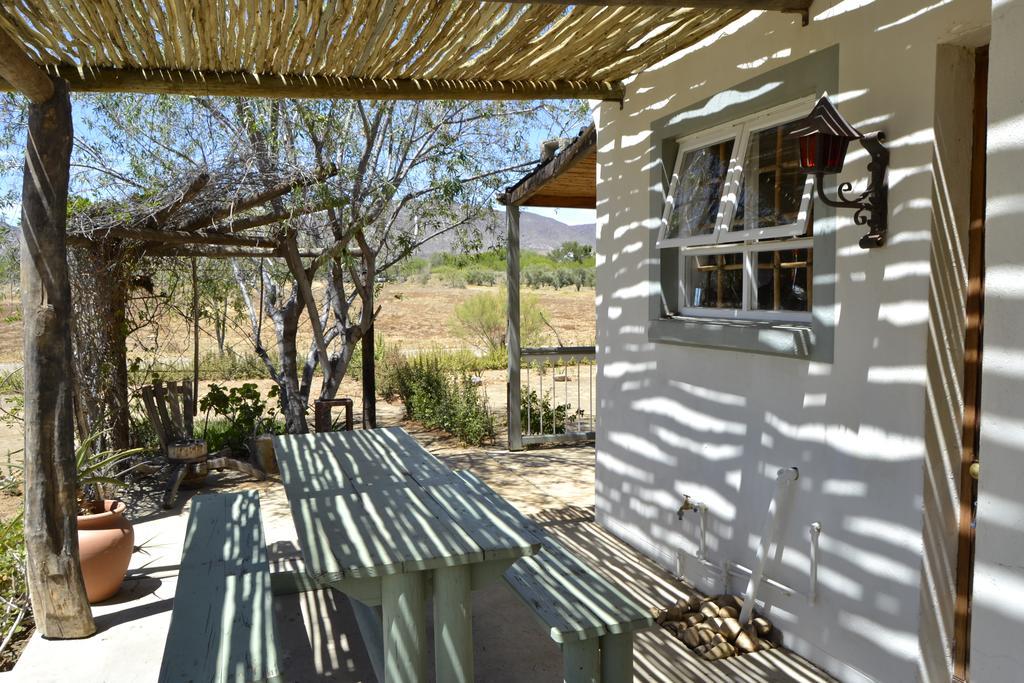 Aloe Guest House Prince Albert Eksteriør billede
